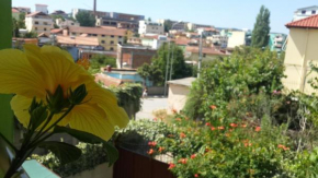 Гостиница Rooms Primavera Vila  Тирана